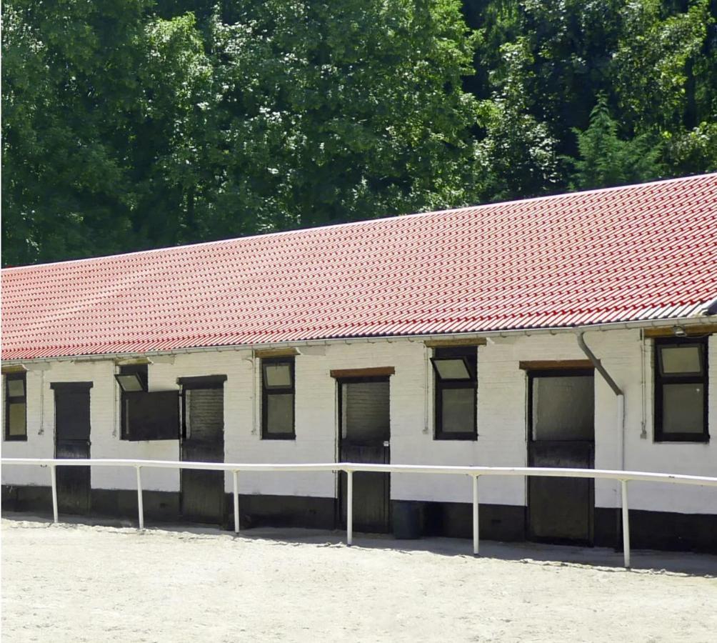奥纲赖泽Royal Horses住宿加早餐旅馆 外观 照片